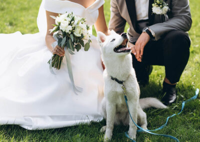 Animali al matrimonio, perfetti per una cerimonia all’insegna della natura